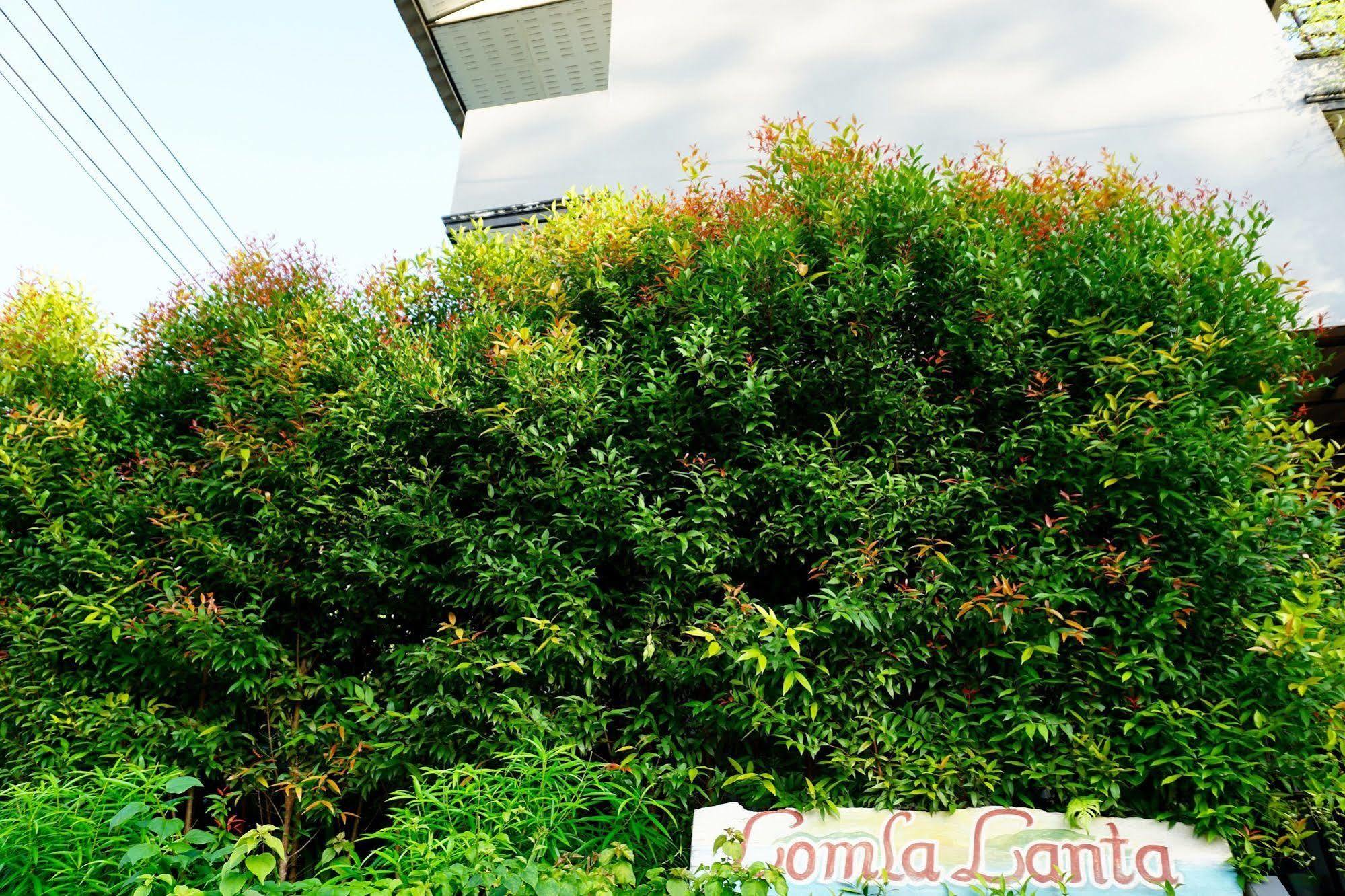 Lom La Lanta Hotel Koh Lanta Luaran gambar